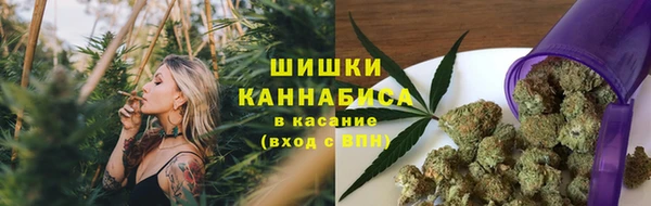 ешки Бронницы